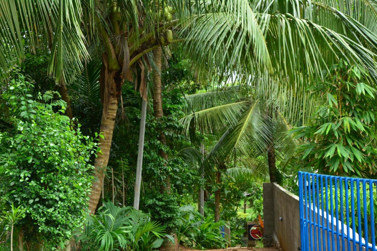 View Guesthouse & Bistro At Goyambokka Tangalle Exteriör bild